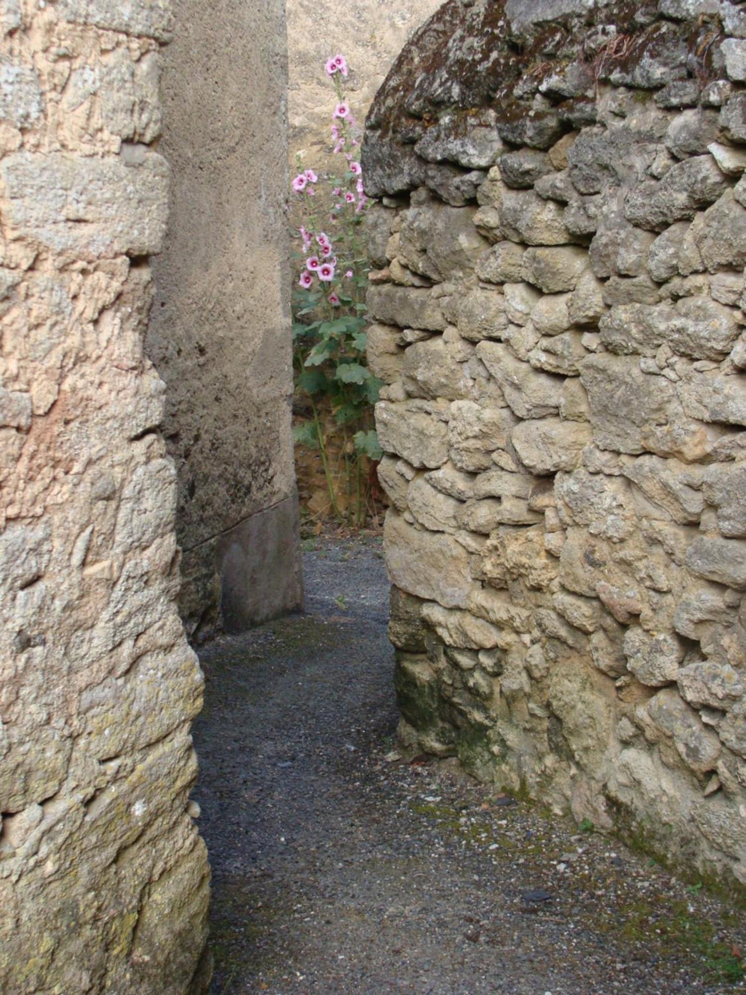 Gite Cote Ruelle Martigné-Briand Zewnętrze zdjęcie